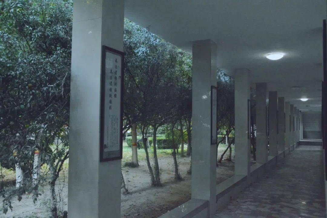 下一站,河北医科大学建华校区