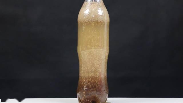 亲子科学小实验牛奶和可乐可以一起喝吗