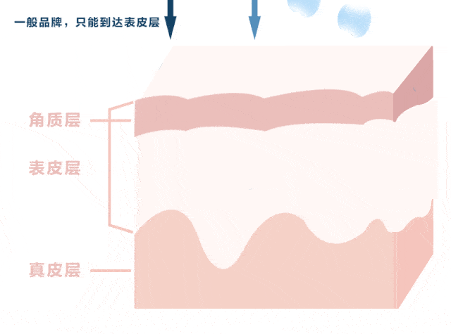 被高尖技术打散成大,中,小,mini四种分子大小,从角质层润到真皮层