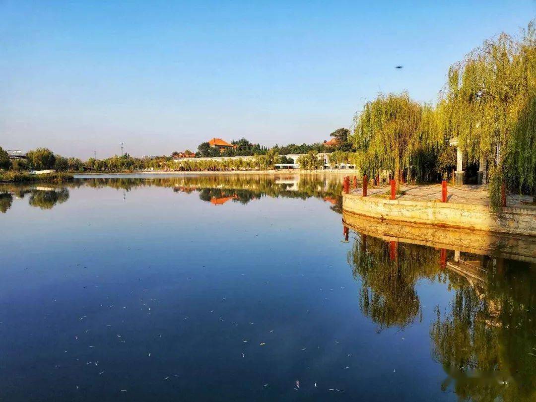 【融媒体拍客团】初秋的定陶