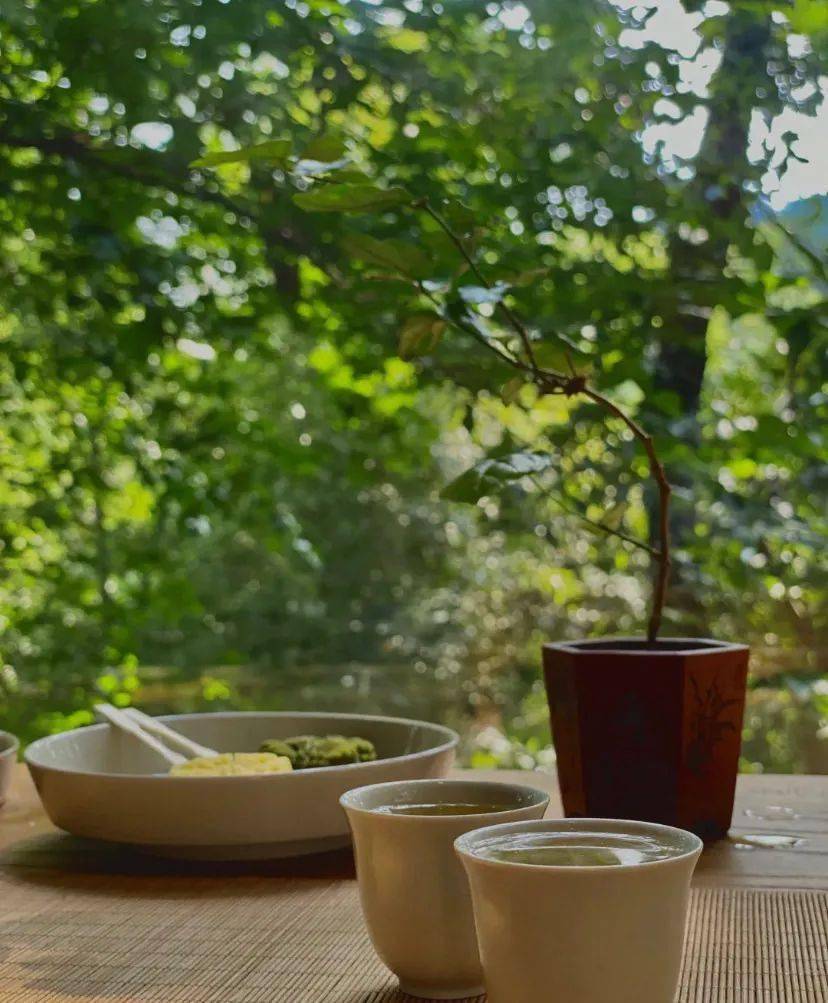 午后闲暇,想起一直心心念小窗茶座,就想去喝杯茶_手机搜狐网