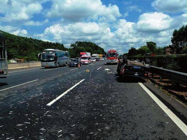 皮卡侧翻泉南高速上25万尾鱼苗被烤成鱼干