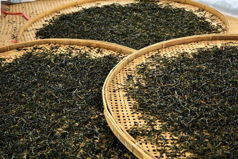 赚着临沧茶的钱还骂临沧茶谁为临沧茶正名