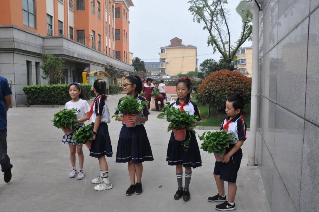 海小快讯感师恩颂师情海光小学庆祝第36个教师节主题活动