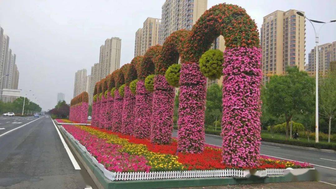 【创建文明城市】绿树鲜花扮靓槐荫街区景观(上)