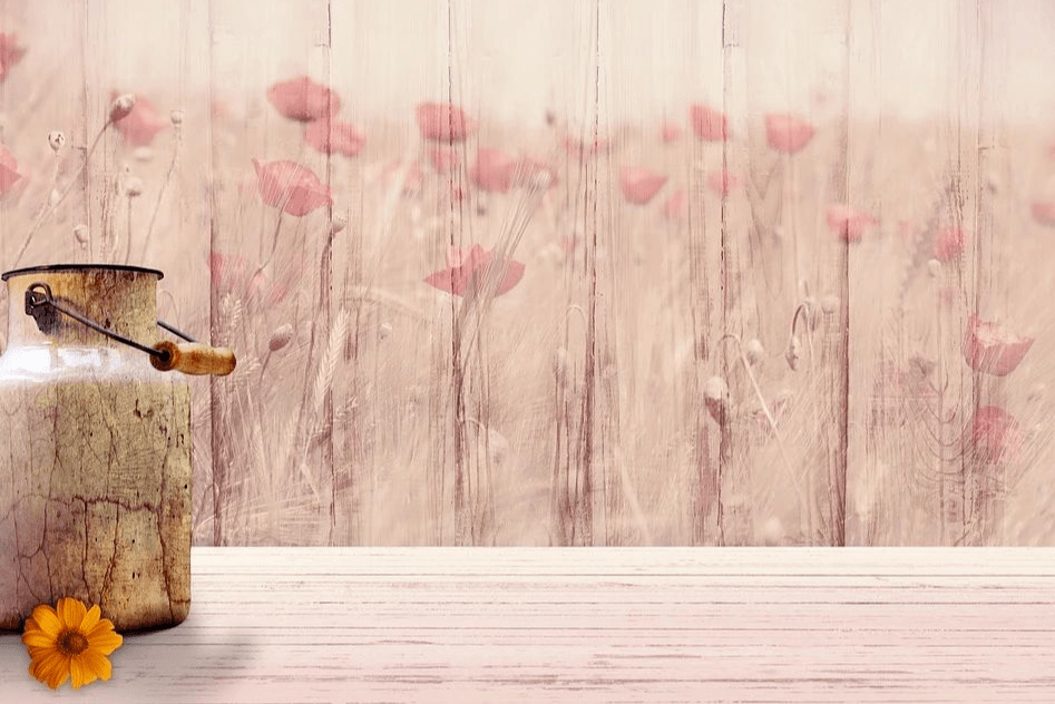 大家美文池莉漂亮误终身