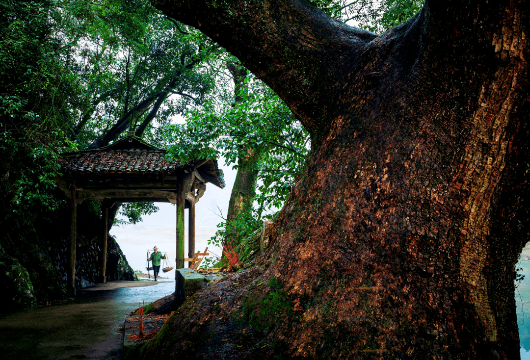 源流",古代著名教育家,文学家朱熹也曾来讲学,如今在包山书院遗址之上