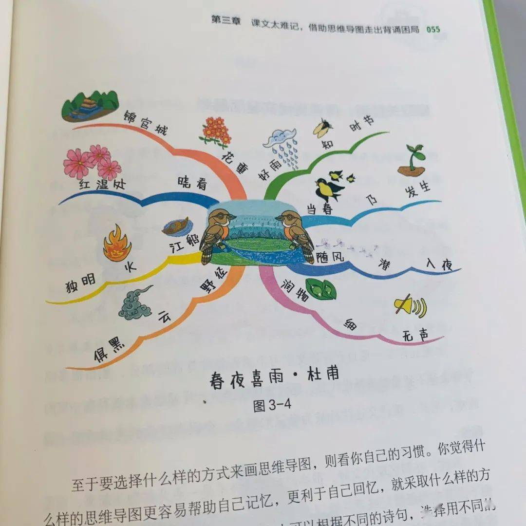 美國幼兒園就學的思維導圖,效果真的那麼神奇嗎?