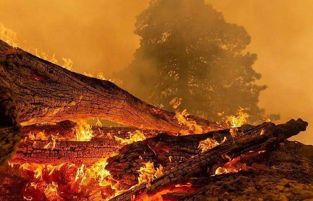 美国西海岸一片火海温哥华空气也遭了殃