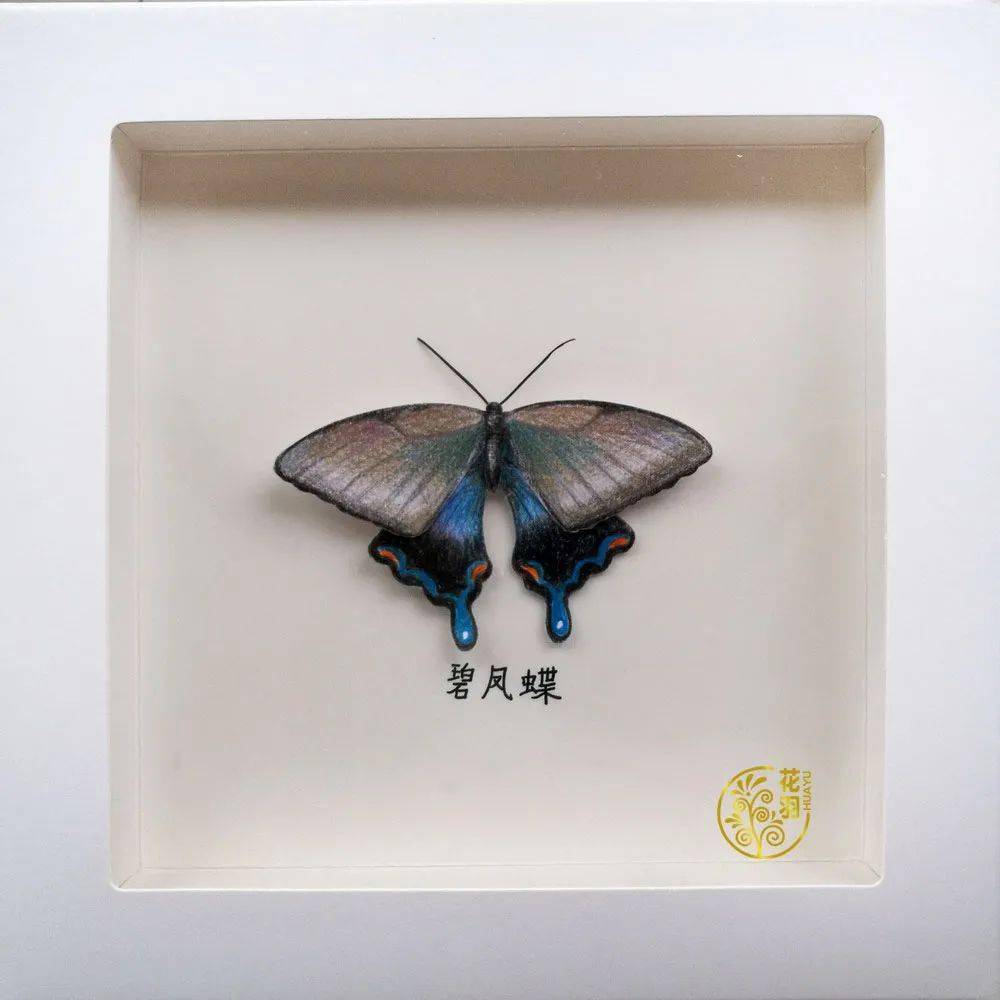 手绘手工制作小礼物仿真蝴蝶标本