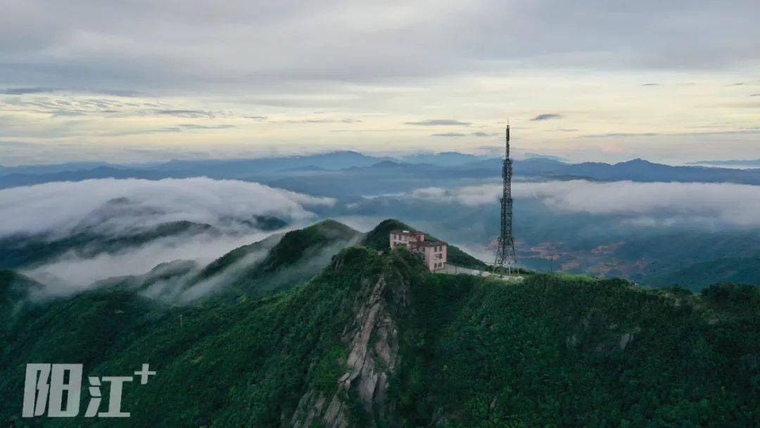 勾髻顶日出云山告诉你滨海阳江凭啥创建全国森林城市