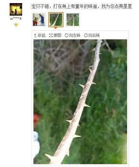 不过也有的戒尺是为了增加杀伤力,比如实心竹条,带刺的荆条,属于家法