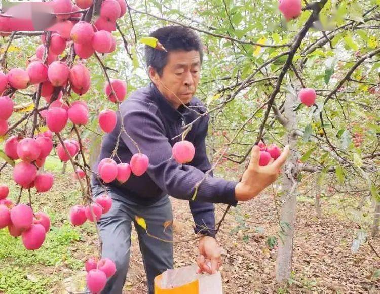 陳維才作品付麗華作品李花子作品蔣泓作品黃大勇作品王文學作品王漢義