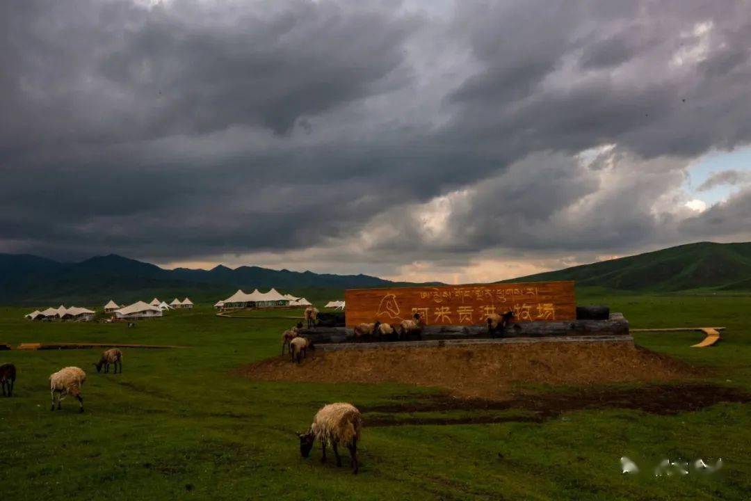 挑战甘南第一站,小岳岳雷佳音穿着睡衣就去了积木公社阿米贡洪牧场