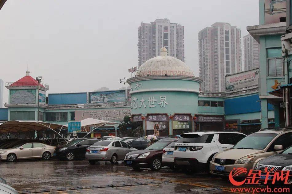 廣州越和花鳥魚藝大世界發出最後清場通知 街坊不捨_市場