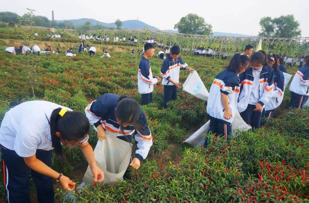 【奋进五中】建立劳动教育基地,构建全面培养体系—长治五中加强