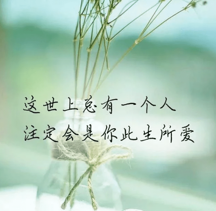 入了心的你我此生最美的遇见