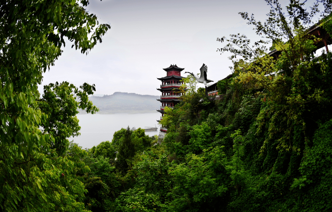 武岭湿地公园图片