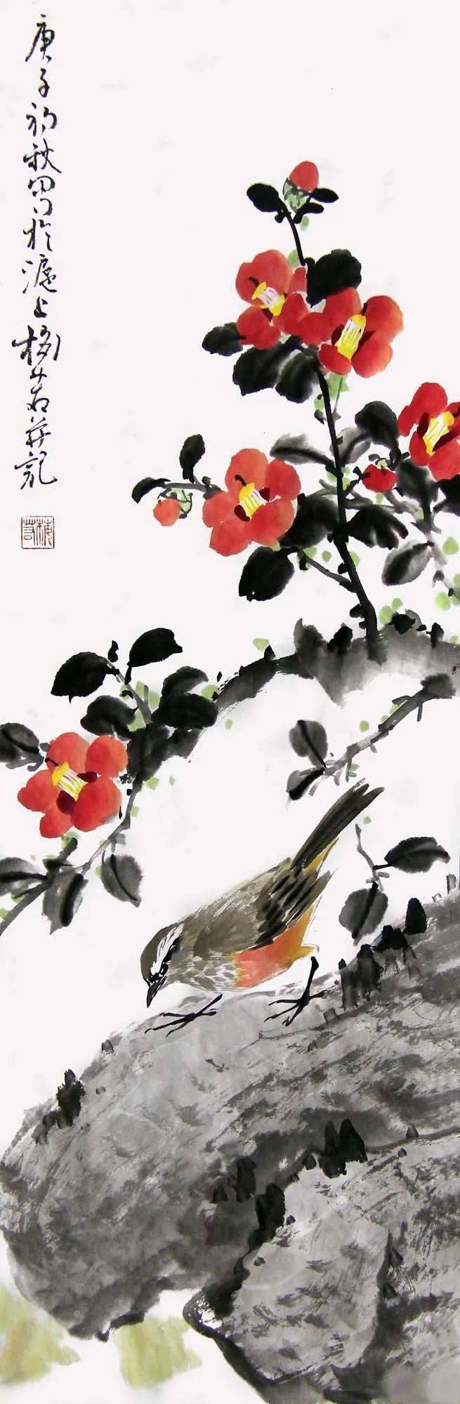 梅若老师画鸟真灵动