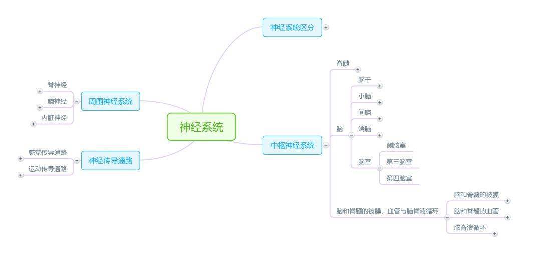 解剖九大系统思维导图图片