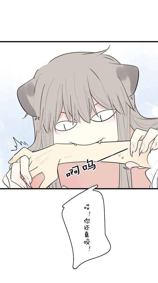 【反向驯养】不准生小猫咪,再说我就咬你!