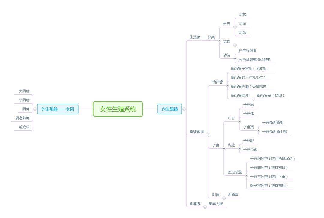 解剖学思维导图完整版人手一份