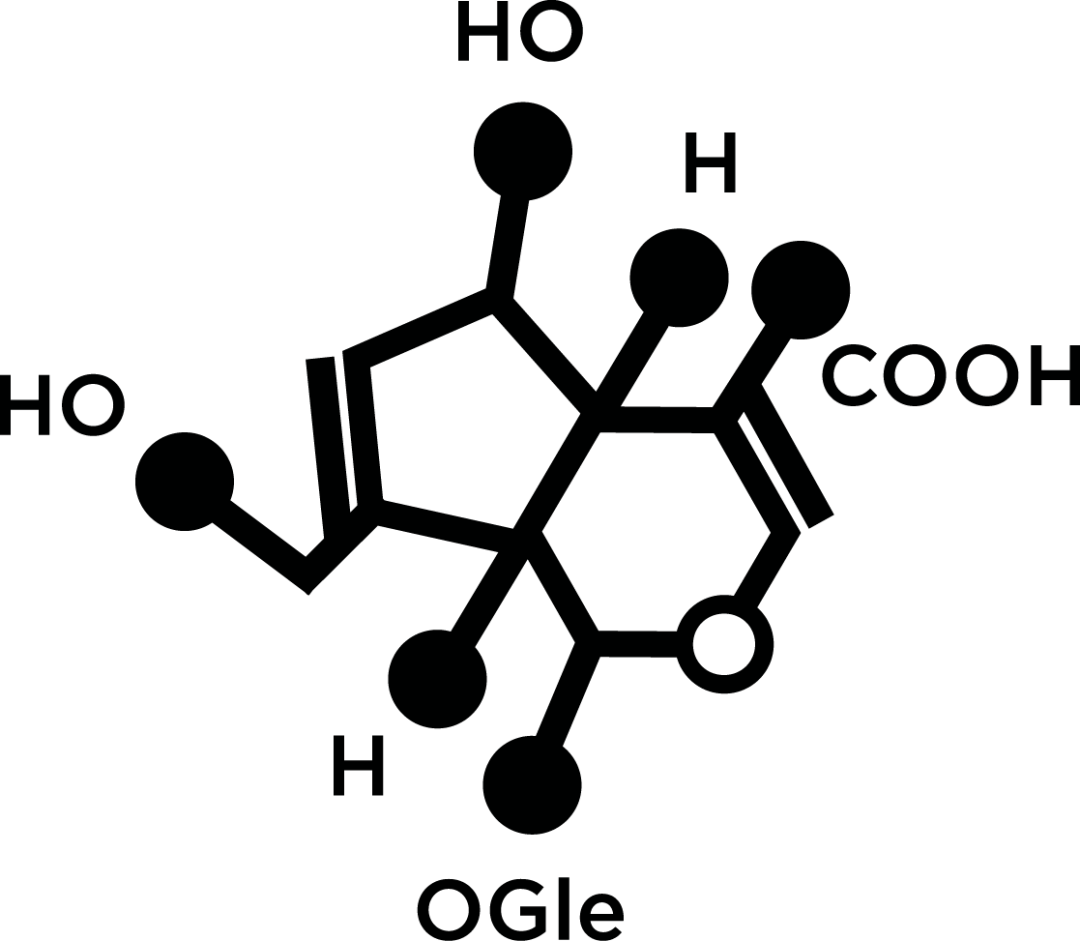 活性物质 来自搜狐网