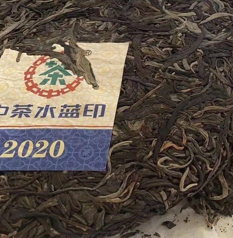 280期品鉴中茶新品2020中茶水蓝印
