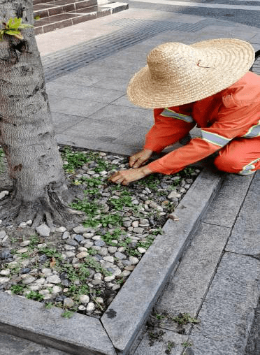 商圈,凤起路,中河北路等主次干道"城中里巷"及背街小巷进行巡查梳理