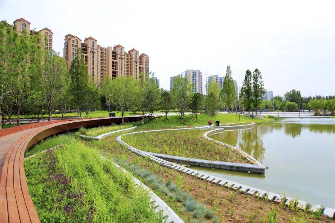 滨水景观多重手段构建城市海绵的胶州三里河下游河道景观设计