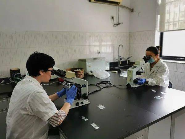 这种寄生虫偏爱德清特色逆鱼_肝吸虫