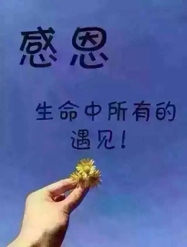 感谢遇见的句子简短_感恩遇见的简短句子_感恩遇见良师益友的句子