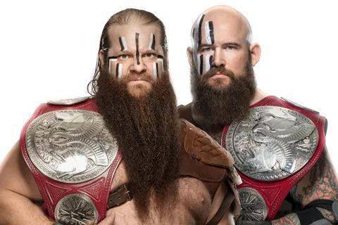 亚莉亚的热度持续高升雷尔会让她加入剧情吗维京战士成员埃瓦尔伤势