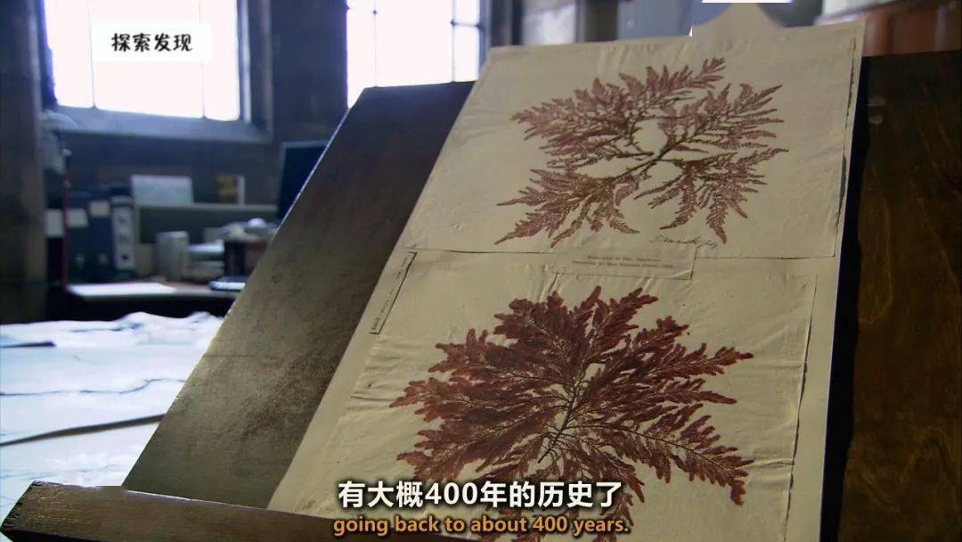图说纪录片生命博物馆4
