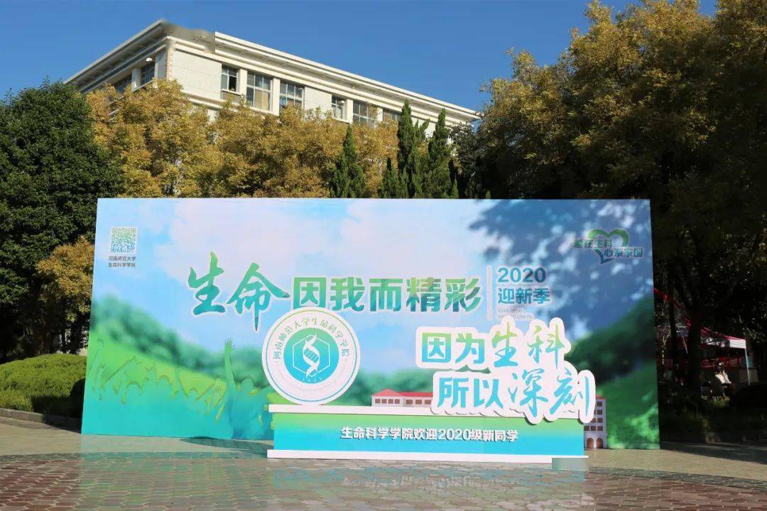 马鞍山师范高等学院地址_马鞍山高等师范_马鞍山师范高等专科学校校区