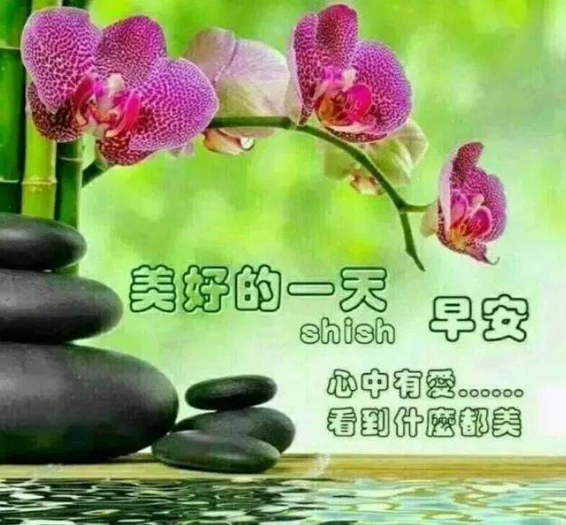 朋友圈早晨好动态图片祝福语问候早晨好图片表情动态图带字