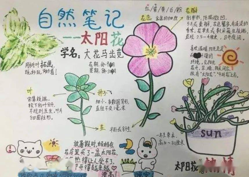 9月19日!青少年自然研学--迷雾丛林之失踪的植物猎人