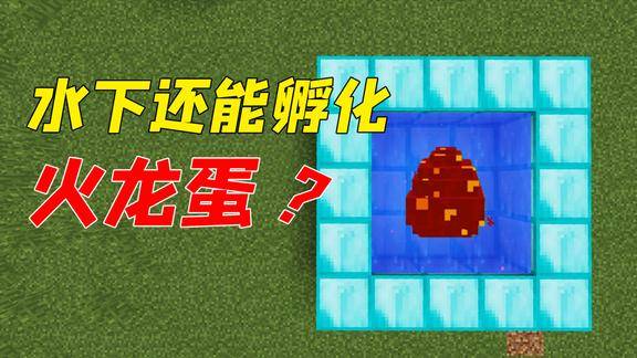 我的世界mod水下还能孵火龙蛋社长来测试结局亮了