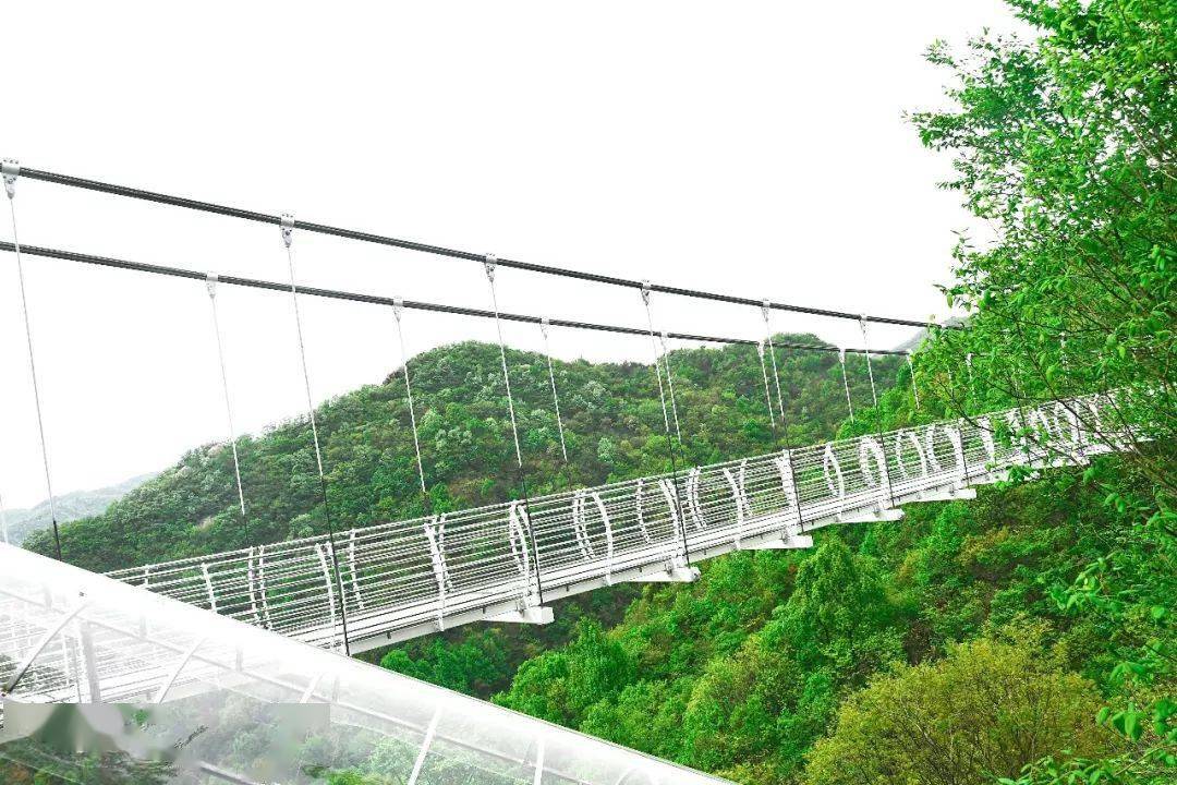 9月19日10:00直播_十八潭