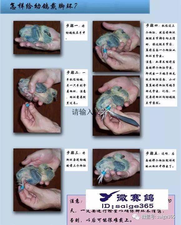 戴环这小事你做对了吗