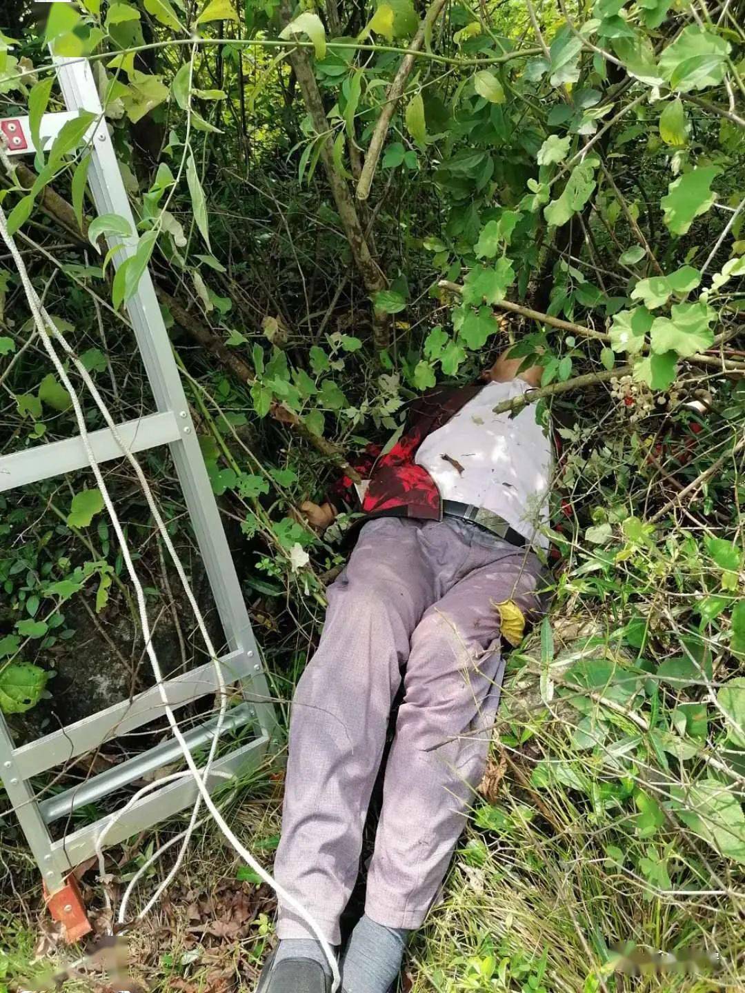 悲剧新宁一村民割棕巴时不幸触电身亡这事千万要注意