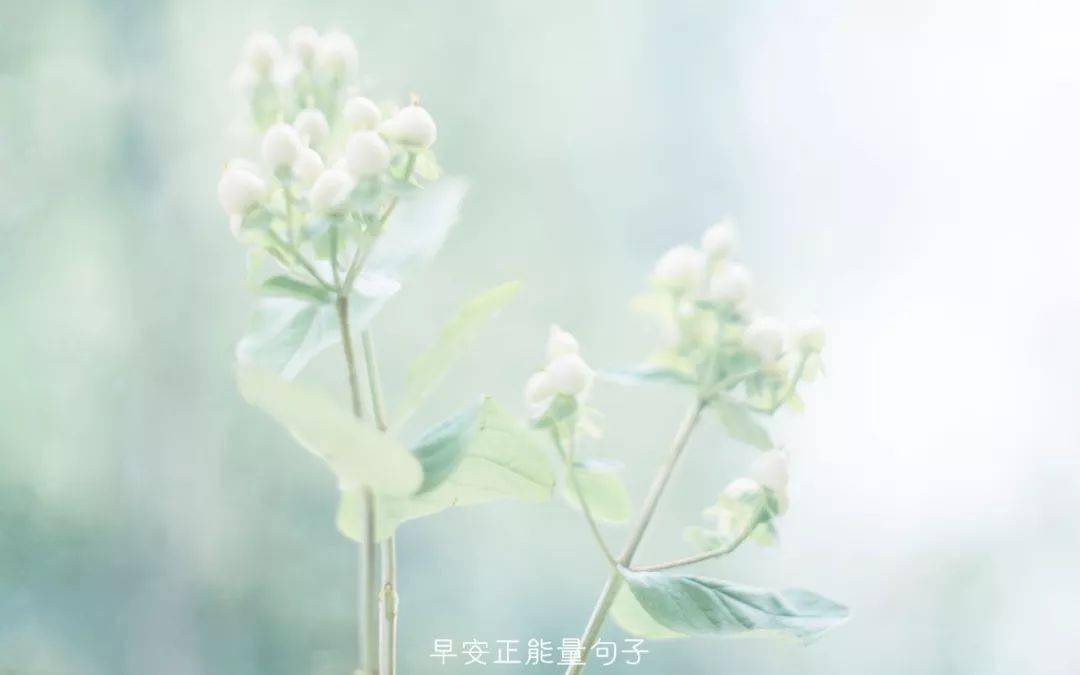 早安心语唯美配图微信朋友圈早安心语