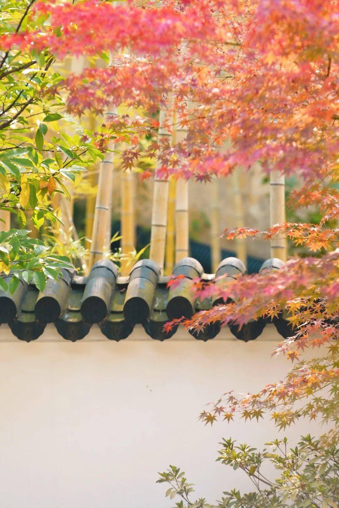 阅江宁悦生活江宁赏秋地图出炉