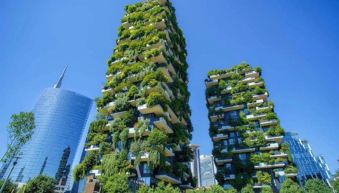 我方了成都惊现垂直森林