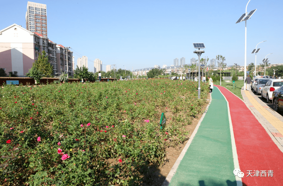 视频小铁路承载大使命新绿色引领新生活西青区李七庄铁路公园正式开园