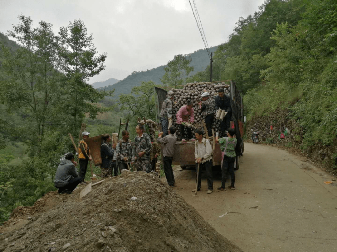 产业扶贫乐素河镇小湾村持续用力抓好村集体经济