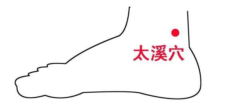 太溪脉法图片