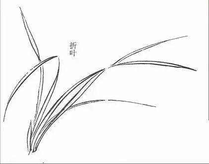 初学者怎样取法芥子园画兰花层次法画心法双钩法赶紧学