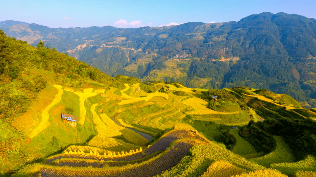 成行高铁黔东南9月2527日漫步肇兴侗寨行摄金色加榜梯田