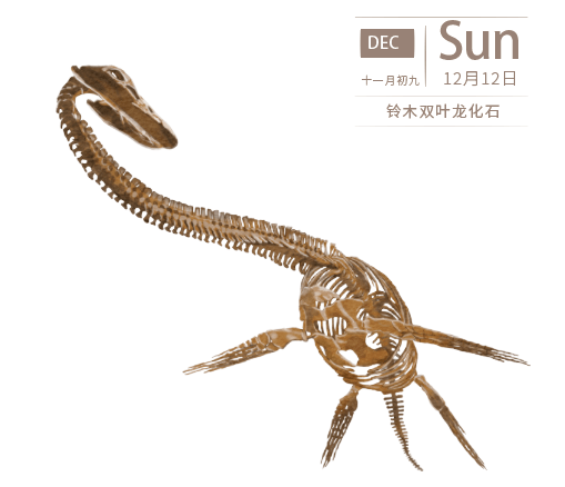 2021《物种日历》来了!最后一次开售,最后一年陪伴,用心说再见